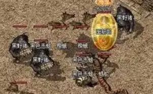 道士项链误区：新手十有八九搞错，先看结论再避坑