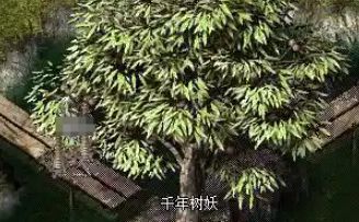 开服第5天起，道士手镯挑选速查清单：两条常见路线怎么选